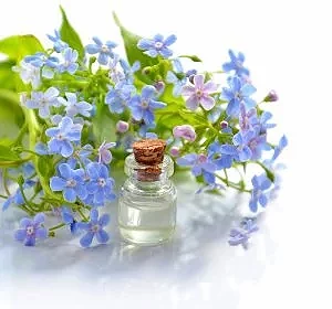 cosmetic-oil-3493928_1280.jpg